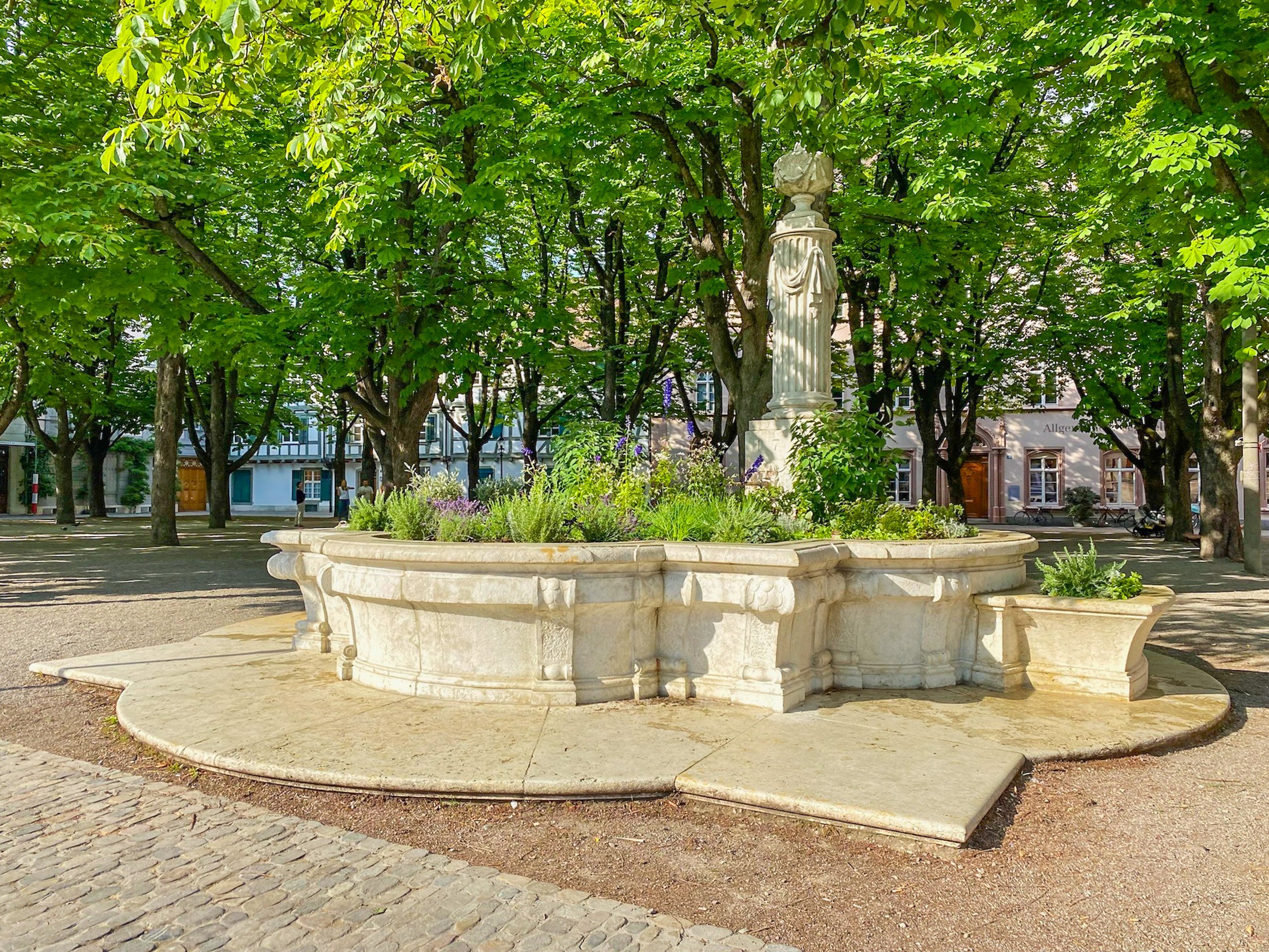 Brunnen fürs Auge!